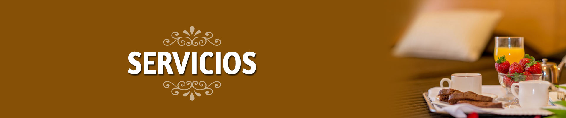 SERVICIOS
